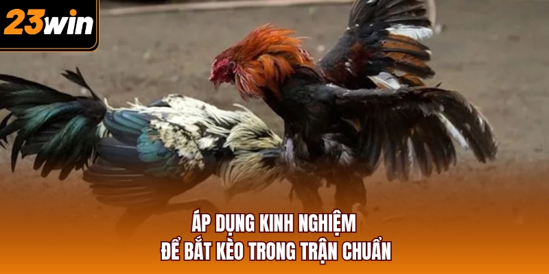 Áp dụng kinh nghiệm để bắt kèo trong trận chuẩn