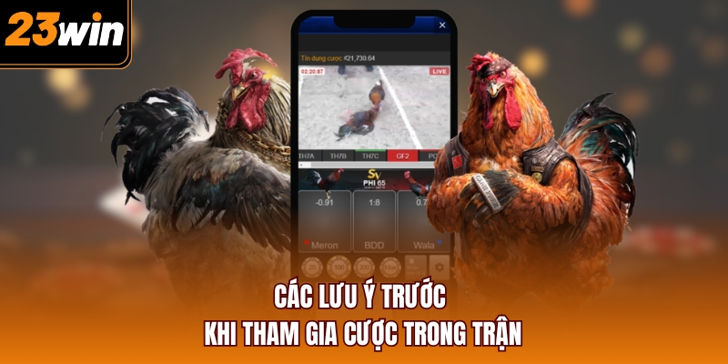 Các lưu ý trước khi tham gia cược trong trận