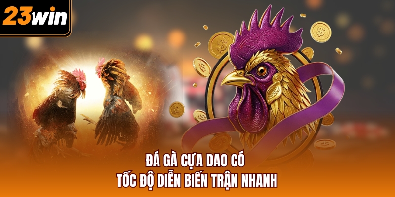 Đá gà cựa dao có tốc độ diễn biến trận nhanh