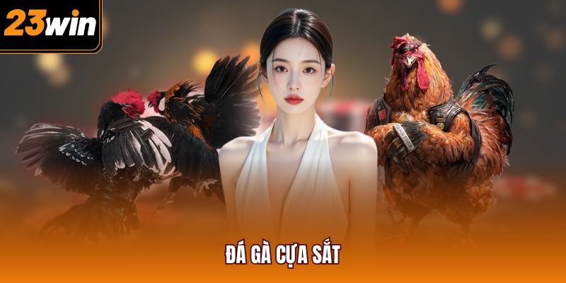 Đá gà cựa sắt