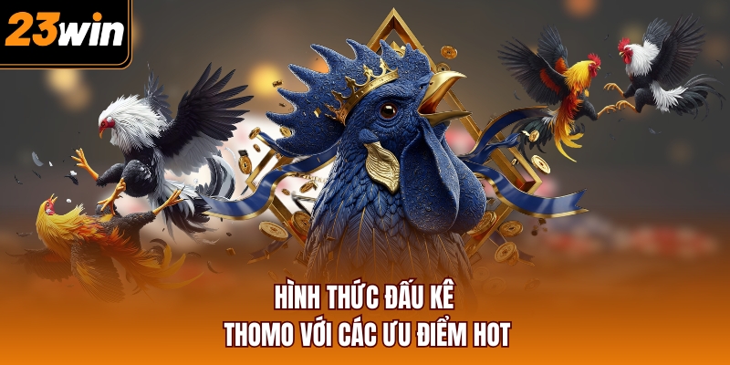 Hình thức đấu kê Thomo với các ưu điểm hot