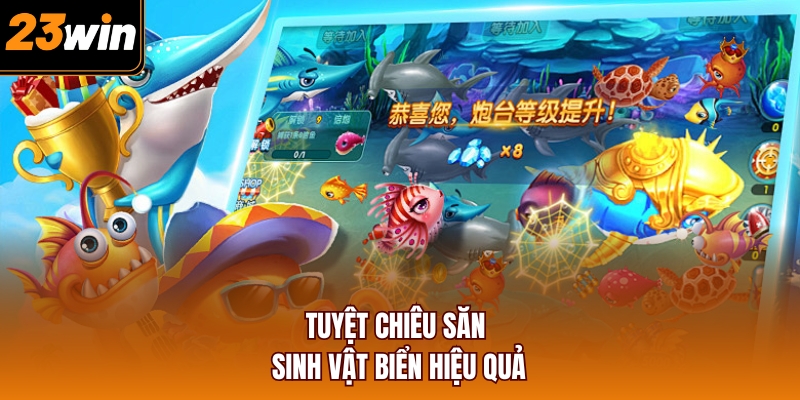 Tuyệt chiêu săn sinh vật biển hiệu quả 